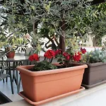 Affittacamere Salt Town House 3*