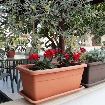 Гостевой дом Salt Town House 3*