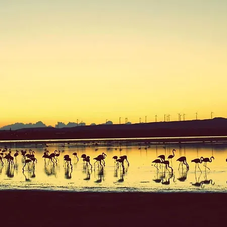 Affittacamere Salt Town House *