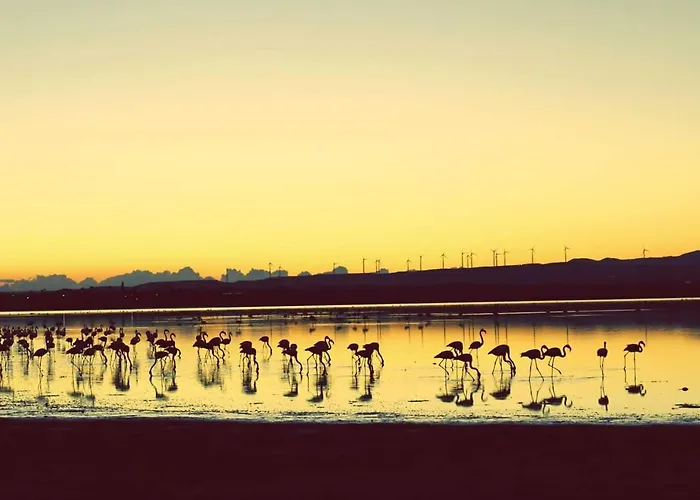 Affittacamere Salt Town House *